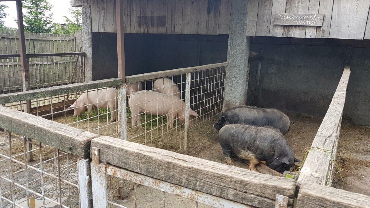 Acin Salas Tordinci Zewnętrze zdjęcie