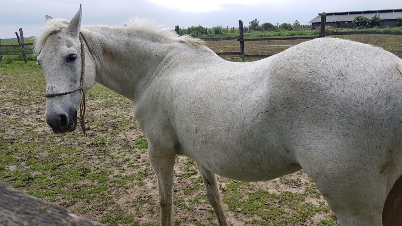 Acin Salas Tordinci Zewnętrze zdjęcie